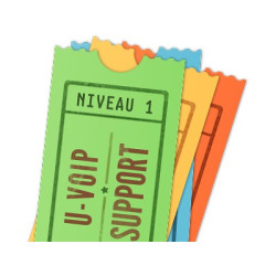 Ticket de support Asterisk & VOIP Niveau 1